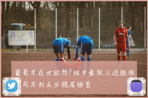 葡萄牙在世欧预F组中豪取三连胜领先匈牙利五分稳居榜首