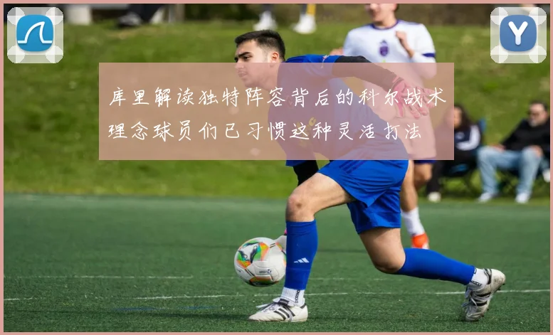 库里解读独特阵容背后的科尔战术理念球员们已习惯这种灵活打法
