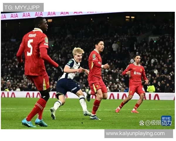 热刺对武什科维奇在汉堡的外租表现表示满意视其为球队重要一员